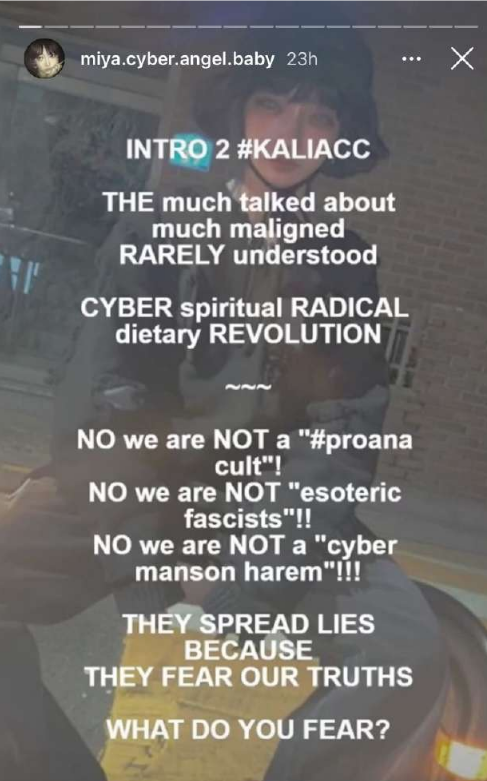 Screenshot of an Instagram story posted by one of Kali/Acc's figureheads in 2020.